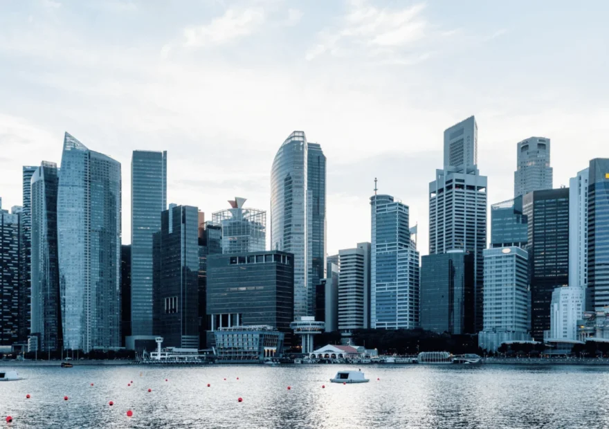 In Business: Either Strong Leadership and a Clear Vision Or Downfall